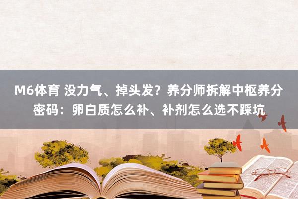 M6体育 没力气、掉头发？养分师拆解中枢养分密码：卵白质怎么补、补剂怎么选不踩坑