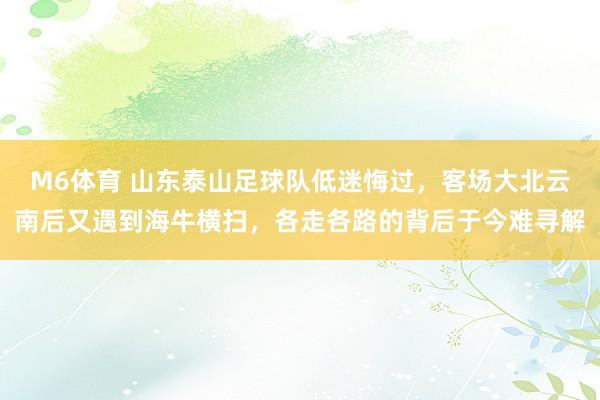 M6体育 山东泰山足球队低迷悔过，客场大北云南后又遇到海牛横扫，各走各路的背后于今难寻解