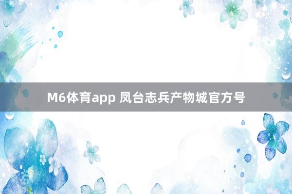 M6体育app 凤台志兵产物城官方号