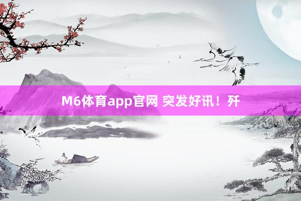 M6体育app官网 突发好讯！歼