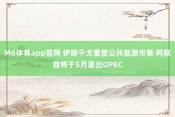 M6体育app官网 伊朗干戈重塑公共能源市集 阿联酋将于5月退出OPEC
