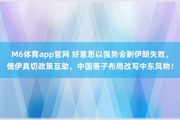 M6体育app官网 好意思以强势会剿伊朗失败，俄伊真切政策互助，中国落子布局改写中东风物！