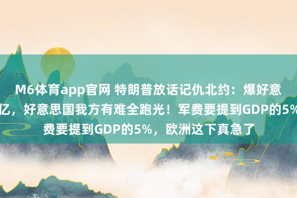 M6体育app官网 特朗普放话记仇北约：爆好意思国为盟友花几万亿，好意思国我方有难全跑光！军费要提到GDP的5%，欧洲这下真急了