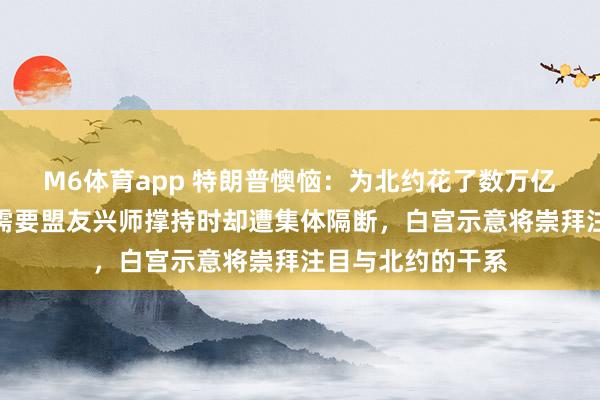 M6体育app 特朗普懊恼：为北约花了数万亿好意思元，但在需要盟友兴师撑持时却遭集体隔断，白宫示意将崇拜注目与北约的干系