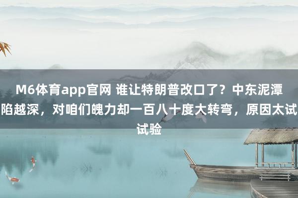 M6体育app官网 谁让特朗普改口了？中东泥潭越陷越深，对咱们魄力却一百八十度大转弯，原因太试验
