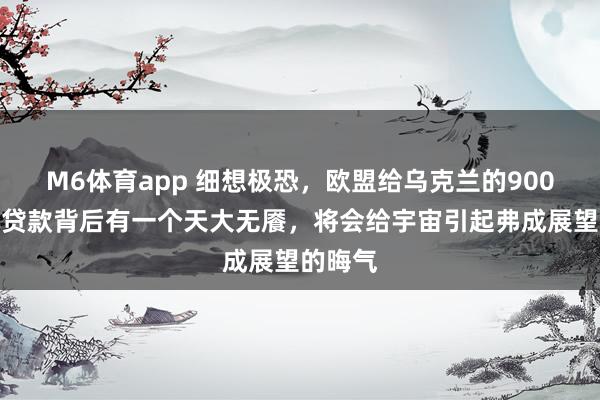 M6体育app 细想极恐，欧盟给乌克兰的900亿欧元贷款背后有一个天大无餍，将会给宇宙引起弗成展望的晦气