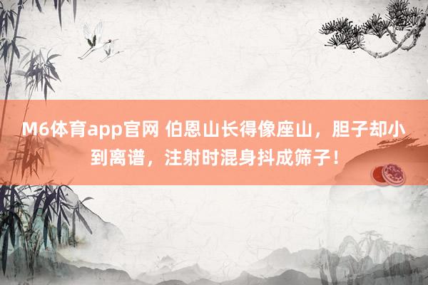 M6体育app官网 伯恩山长得像座山，胆子却小到离谱，注射时混身抖成筛子！