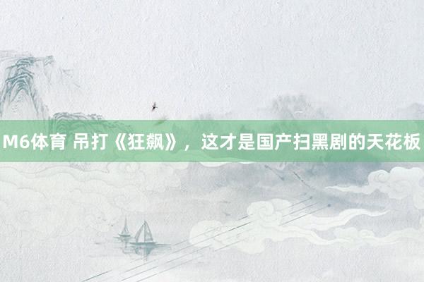 M6体育 吊打《狂飙》，这才是国产扫黑剧的天花板
