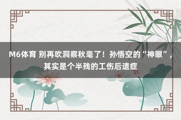 M6体育 别再吹洞察秋毫了！孙悟空的“神眼”，其实是个半残的工伤后遗症