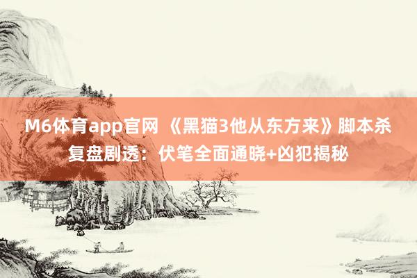 M6体育app官网 《黑猫3他从东方来》脚本杀复盘剧透：伏笔全面通晓+凶犯揭秘