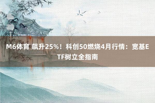 M6体育 飙升25%！科创50燃烧4月行情：宽基ETF树立全指南