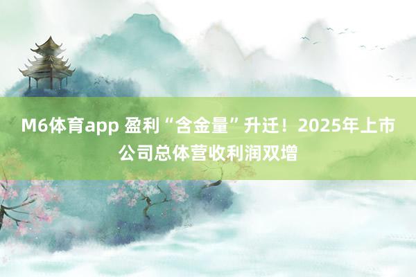 M6体育app 盈利“含金量”升迁！2025年上市公司总体营收利润双增