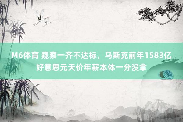 M6体育 窥察一齐不达标，马斯克前年1583亿好意思元天价年薪本体一分没拿