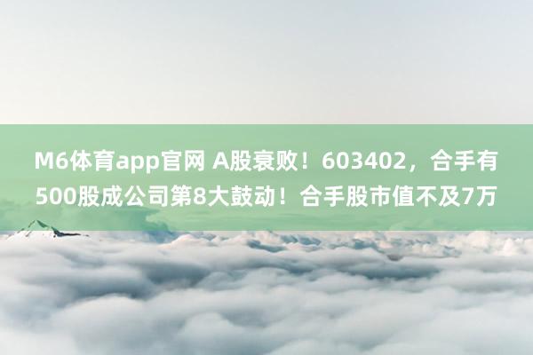 M6体育app官网 A股衰败！603402，合手有500股成公司第8大鼓动！合手股市值不及7万