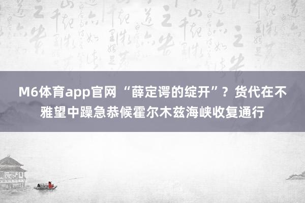 M6体育app官网 “薛定谔的绽开”？货代在不雅望中躁急恭候霍尔木兹海峡收复通行