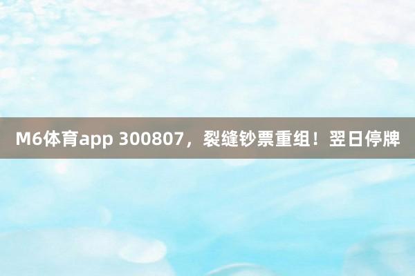 M6体育app 300807，裂缝钞票重组！翌日停牌