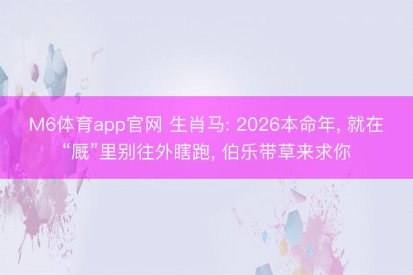 M6体育app官网 生肖马: 2026本命年， 就在“厩”里别往外瞎跑， 伯乐带草来求你