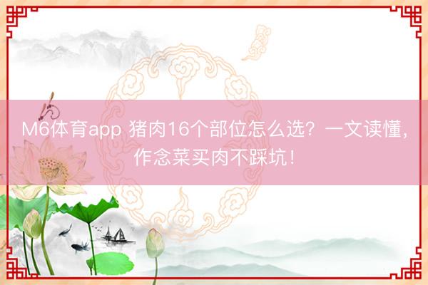 M6体育app 猪肉16个部位怎么选？一文读懂，作念菜买肉不踩坑！