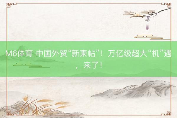 M6体育 中国外贸“新柬帖”！万亿级超大“机”遇，来了！