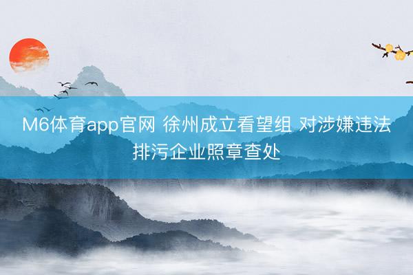 M6体育app官网 徐州成立看望组 对涉嫌违法排污企业照章查处